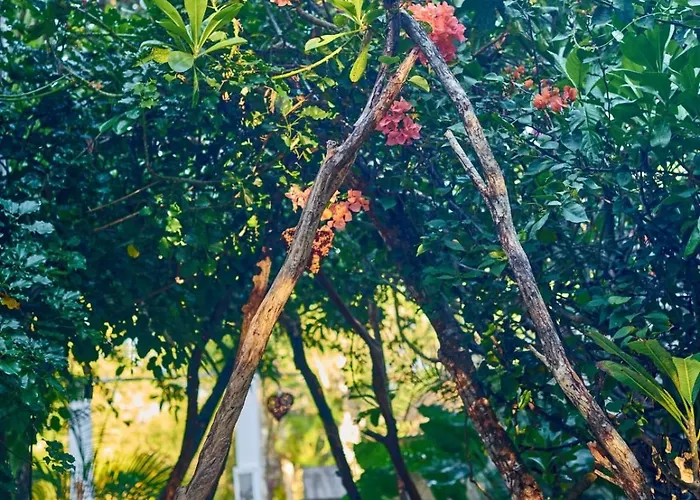 Agua Y Fuego Tulum