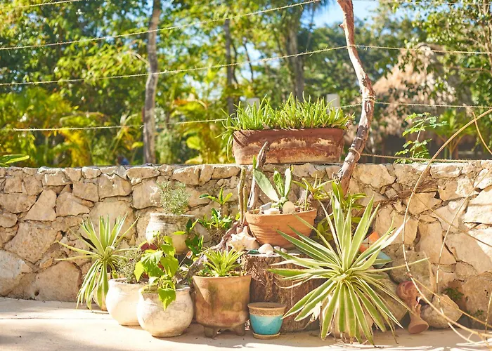 Agua Y Fuego Tulum